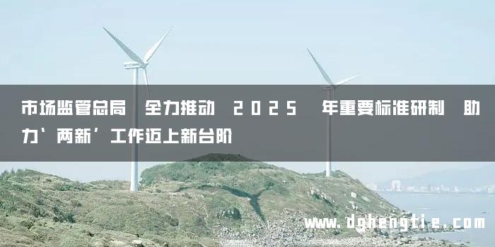 市场监管总局 全力推动 2025 年重要标准研制 助力‘两新’工作迈上新台阶